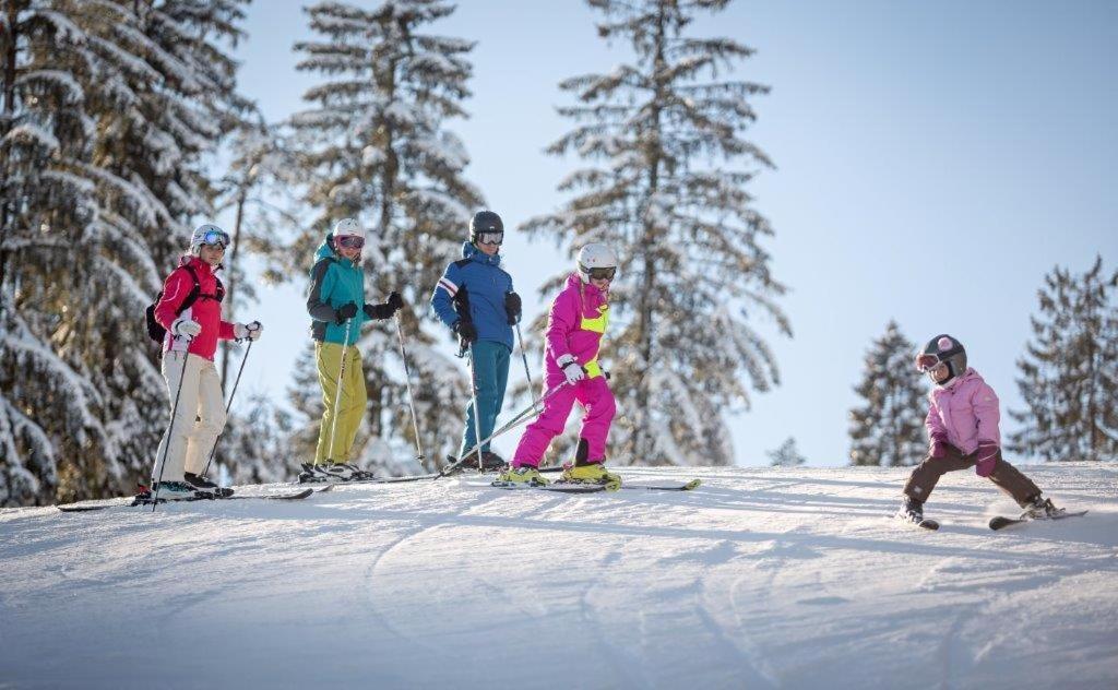 Chata Venda Lipno nad Vltavou Exteriér fotografie